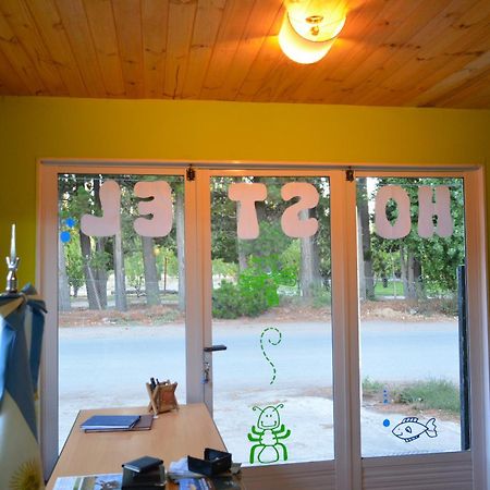 Hostel El Viajante Los Antiguos Dış mekan fotoğraf